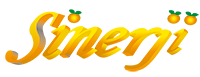 Sinergi logosu