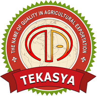 Tekasya logosu