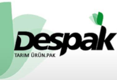 Despak logosu